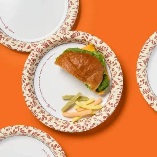 Fall Disposable Plates - 24ct - 10" - up & up&trade; image {1}