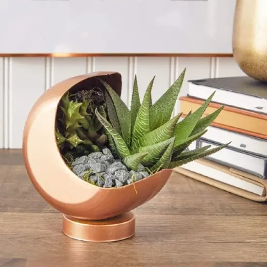 Farmlyn Creek Decorative Rocks for Planters, Vase, Aquarium, and Terrariums, Black, 2lbs image {1}