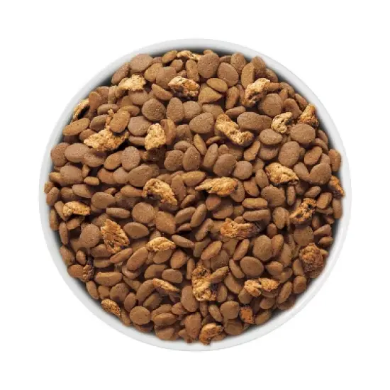 Purina ONE Tender Selects Blend with Real Salmon Adult Premium Dry Cat Food image {1}