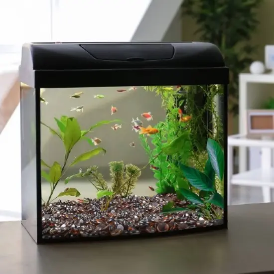 Home-Complete 10.47 lbs  .75" Marbles Fire Glass Amber image {5}