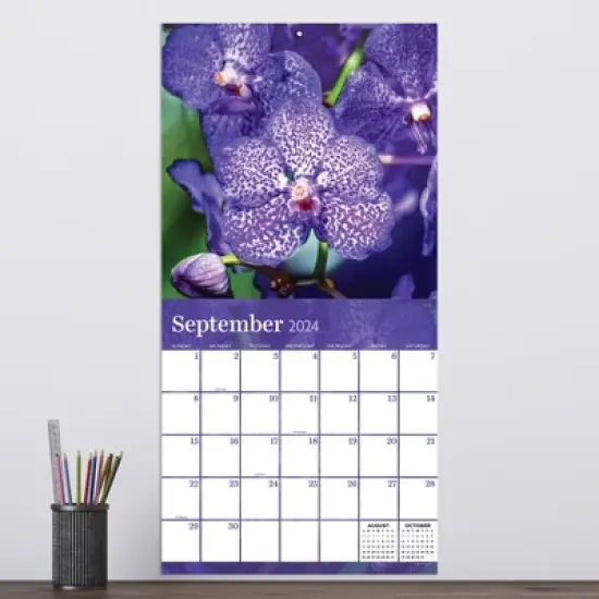 TF Publishing 2024 Wall Calendar 12"x12" Flowers image {2}