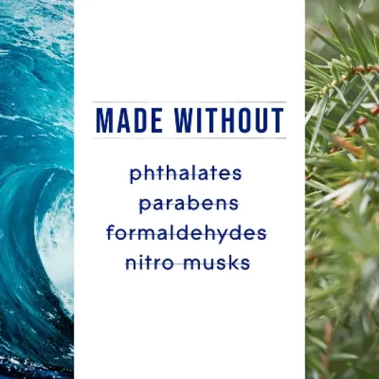 Glade Piso Liquid Air Freshener Refills - Fresh Sea Cypress - 1.34 fl oz/2ct image {8}