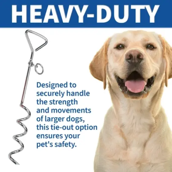 MeasuPro Chrome Dog Stake &ndash; Heavy-Duty Stainless Steel Tie-Out for Dogs of All Sizes image {2}