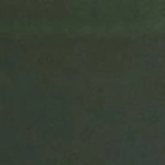 STAUB Cast Iron 10-inch Fry Pan image {2}