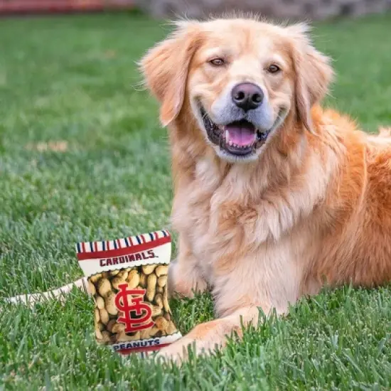 MLB St. Louis Cardinals Peanut Bag Toy image {2}