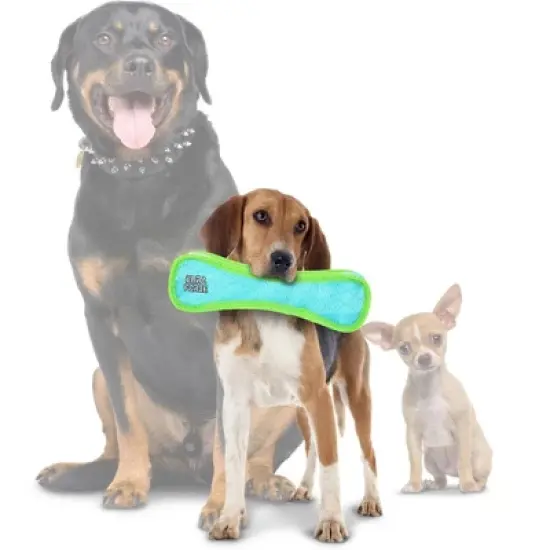 DuraForce Bone Dog Toy - Blue/Green - M/L image {1}