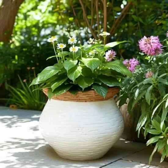 Modern Ceramic Flower Pot and Planter - Indoor and Outdoor Use - Earthy Decorative Accent for Room, Garden, Patio, or Entryway Decor - 7" White & Tan image {11}