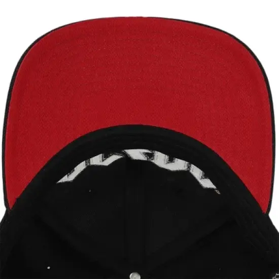 ACDC Embroidered Logo Pre-curved Snapback with 3D Horns image {3}