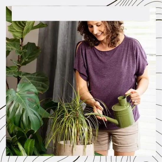 Homarden 34oz Green Long Spout Metal Watering Can Perfect for Outdoor & Indoor Plants image {2}