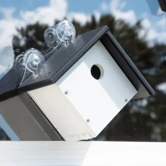 JCS Wildlife Recycled Poly Lumber Window-Mount Wren House image {8}