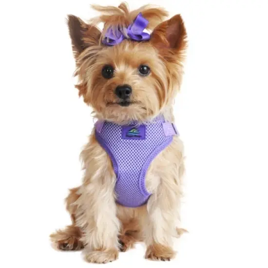 Doggie Design Wrap and Snap Choke Free Dog Harness - Paisley Purple image {4}