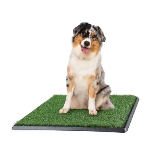 Pet Adobe Artificial Grass Potty Trainer Mat 20x25 image {9}