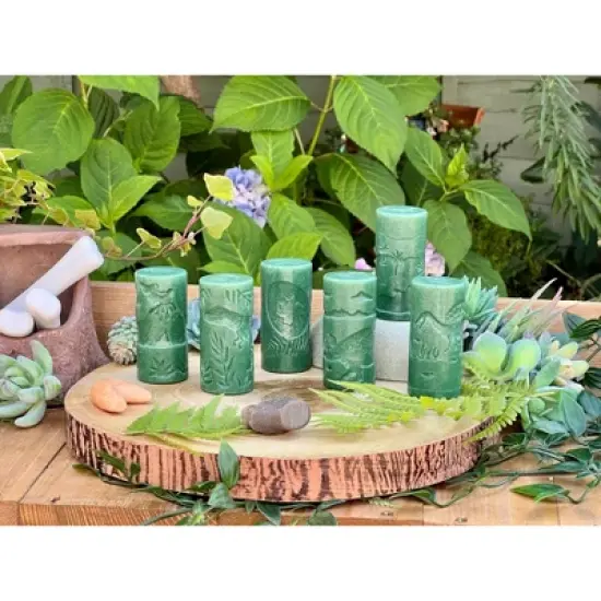 Yellow Door Let's Roll Dinosaurs - Set of 6 image {2}