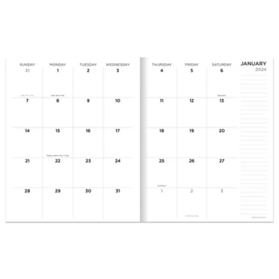 TF Publishing 2024 Monthly Planner 8"x6.5" Leopard image {1}