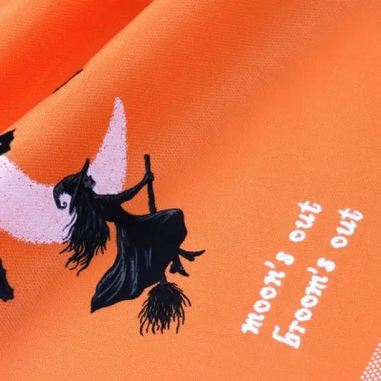 2pk Dishtowels Flying Witch - Bullseye's Playground&trade; image {2}