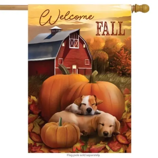 Welcome Fall Puppies House Flag Autumn Pumpkin Farm 28" x 40" Briarwood Lane image {1}