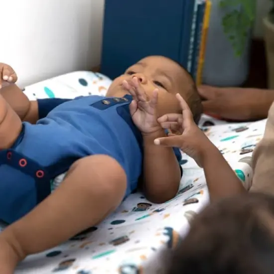 little muffincakes Changing Pad Cover - Ashton image {3}