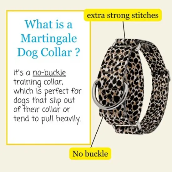 Country Brook Petz HossFit Jr Wide Martingale Dog Collar - Animal Print Collection image {3}