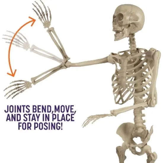 Life Size Human Skeleton Halloween Decoration Value 2 Pack- Adult 5' 4" & Child 2' - Articulated Movable Limbs, Weather Resistant Indoor/Outdoor image {2}
