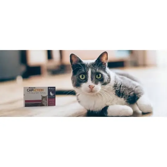 CapAction Flea Treatment for Cats - 2-25lbs image {4}