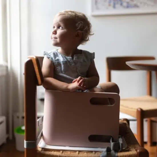 Little Partners 3-in-1 Learning Booster Seat image {1}