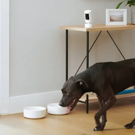 Ring Stick Up Cam Pan-Tilt Mount image {3}