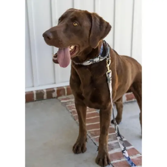 Country Brook Petz Urban Camo Martingale Dog Collar image {1}