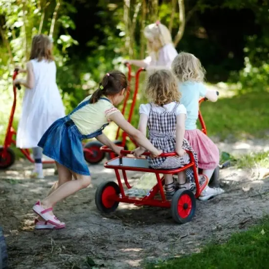 Winther Viking Twin Taxi Tricycle image {5}