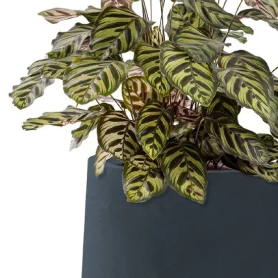 Rosemead Home & Garden 3pc Concrete Outdoor Planter Pot Black image {3}