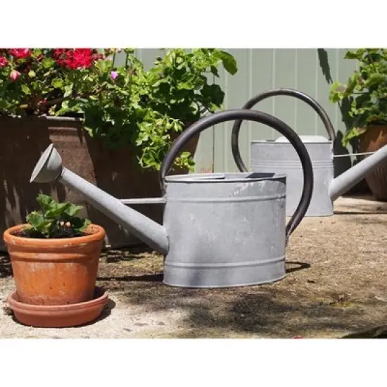 Tierra Garden Oval Aged Zinc Watering Can image {2}