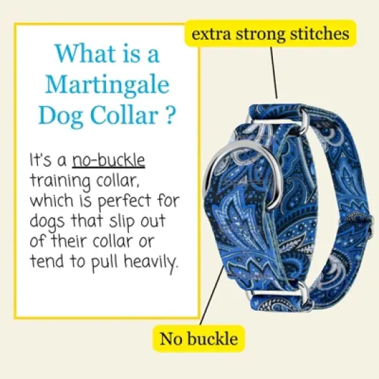 Country Brook Petz HossFit Jr Wide Martingale Dog Collar - Paisley Collection image {3}