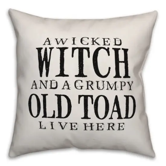 Creative Products A Wicked Witch and Grumpy Toad 16x16 Indoor / Outdoor Pillow image {3}