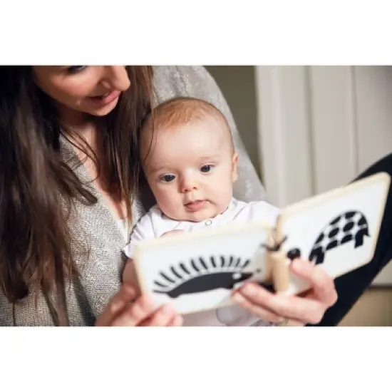 Lovevery Play Kit Baby Learning Toy image {14}