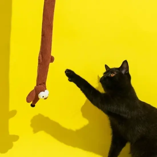 zeze Dachshund Cat Teaser Wand-Brown image {4}