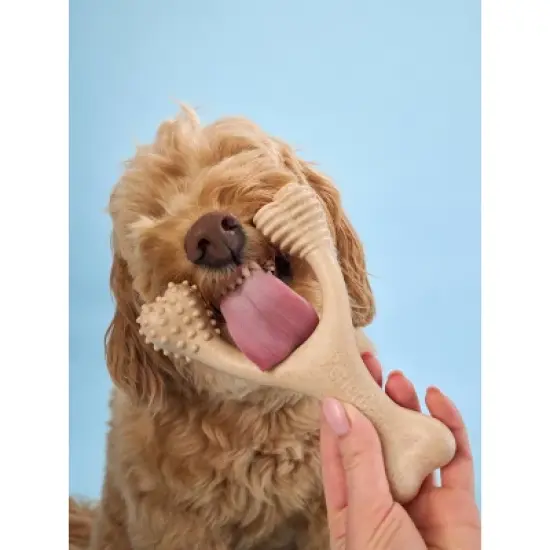 BetterBone Medium Density Beef Dog Bone Toy - S image {2}