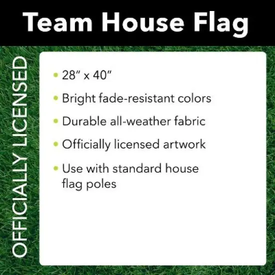 Briarwood Lane Philadelphia Eagles Slogan House Flag NFL Licensed image {2}