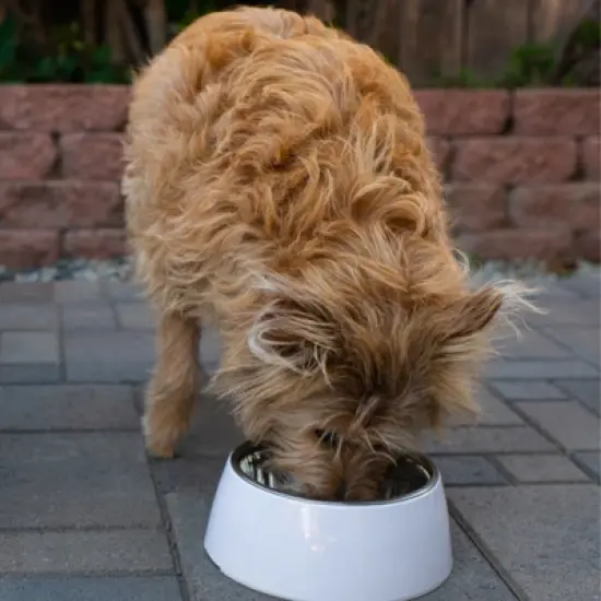 Loving Pets Hot Pink Retro Bowl- 400ml 1.69 Cup image {1}