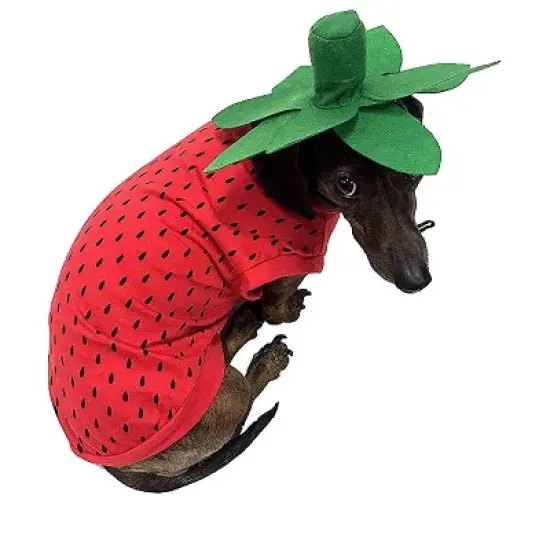 Midlee Strawberry Dog Costume image {6}