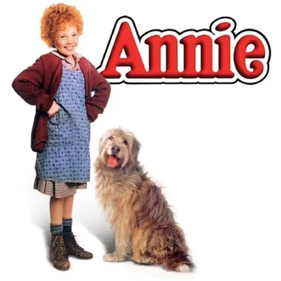 Annie (Blu-ray)(1982) image {1}