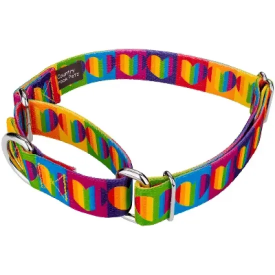Country Brook Petz Rainbow Hearts Martingale Dog Collar image {1}