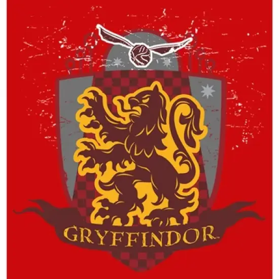 Boy's Harry Potter Gryffindor Quidditch Coat of Arms T-Shirt image {1}