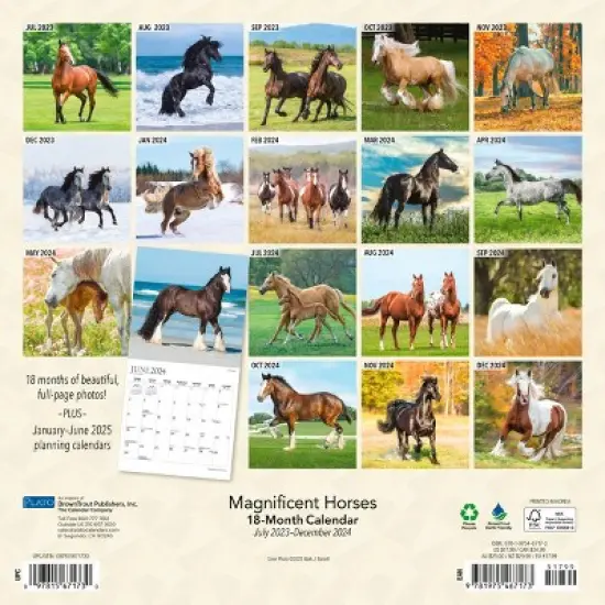 Plato 2023-2024 Wall Calendar 12"x12" Magnificent Horses image {1}