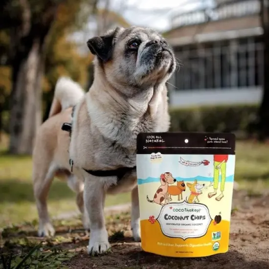 CocoTherapy CTT-0002-6 Coconut Chips (1 Pouch), 6 oz image {1}