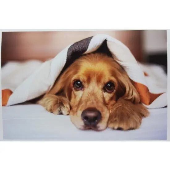 PPD Glossy Photo Paper 8.5x14" 50 sheets 180 gsm for Inkjet Printers image {4}