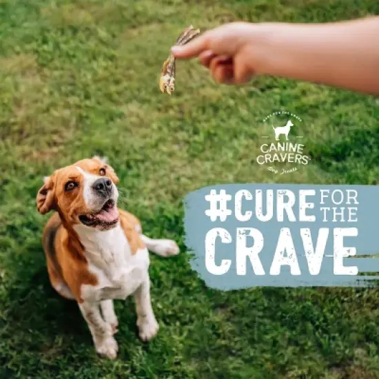 Canine Cravers Single Ingredient Air Dried Dog Treats - Wild Caught Lake Smelt 3 oz - Pouch image {5}