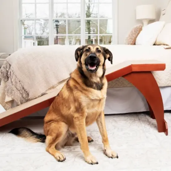 PetSafe CozyUp Bed Ramp image {1}