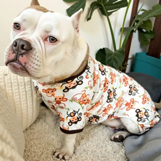 Paaaawaters Dog Jumpsuit Cute Cartoon Animal Print Velvet Puppy Warm Clothes image {6}