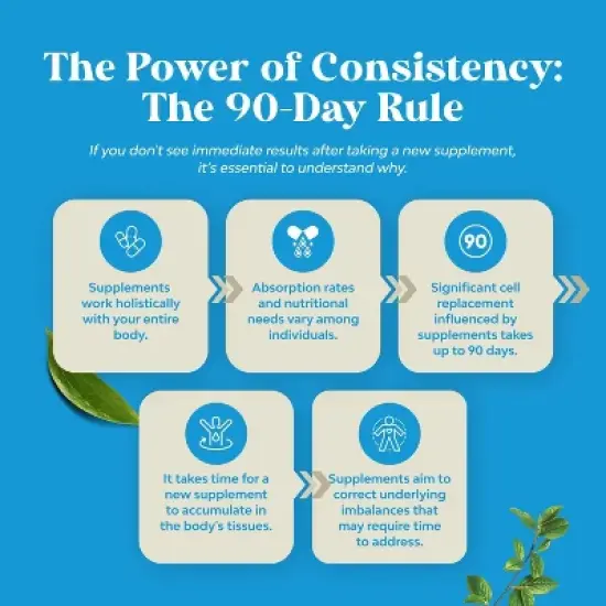 ALA & ALC Capsules, Acetyl L-Carnitine & Alpha Lipoic Acid Antioxidant Supplement for Weight Loss, Skin Health & AMPK Activator, Nature's Craft, 60ct image {7}