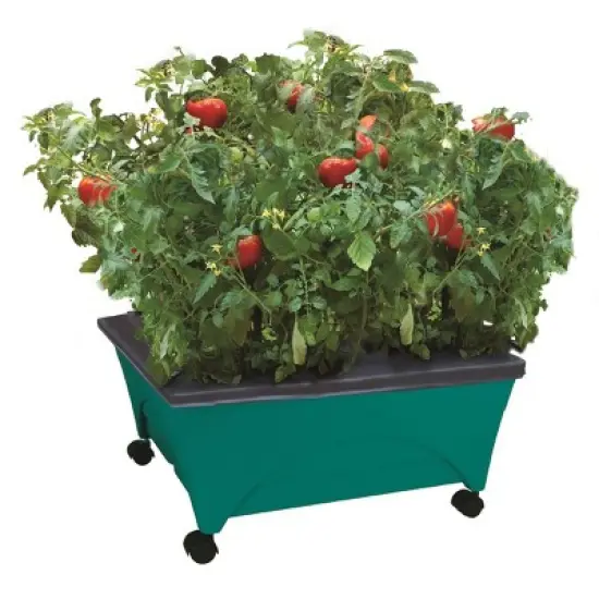 Emsco Little Pickers Raised Bed Children's Grow Box Rectangular Outdoor Planter Teal Green 24"x20"x30": Kids Gardening Accessory image {10}