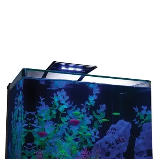 GloFish Glass Aquarium Kit 10gal Includes LED Decor and Filter Aquarium and Terrarium Tools image {13}